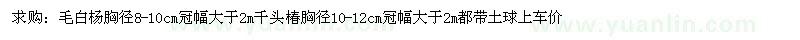 求購(gòu)毛白楊、千頭椿