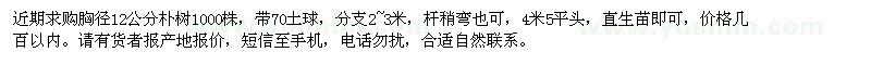 求購胸徑12公分樸樹