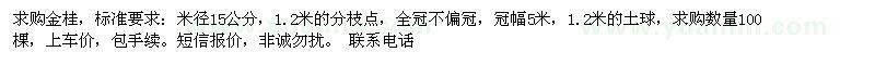 求購金桂