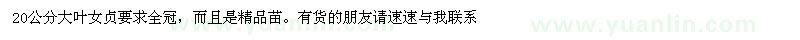 求購(gòu)20公分大葉女貞