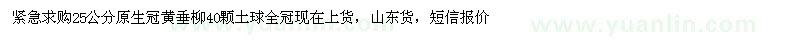 求購25公分原生冠黃垂柳
