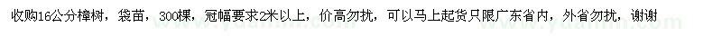 求購16公分樟樹
