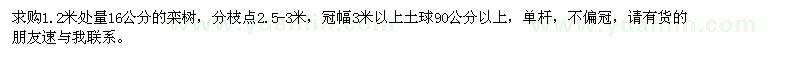 求購1.2米處量16公分欒樹