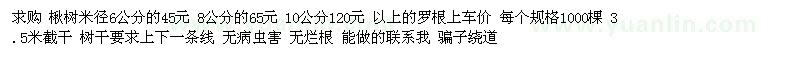 求購米徑6、8、10公分楸樹