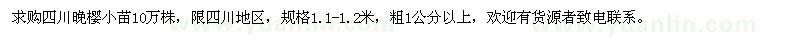 求購1.1-1.2米四川晚櫻小苗
