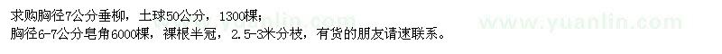 求購胸徑7公分垂柳、胸徑6-7公分皂角
