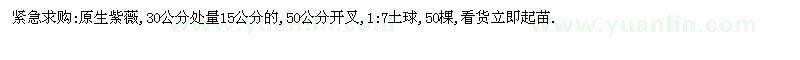 求購(gòu)30公分處量15公分原生紫薇