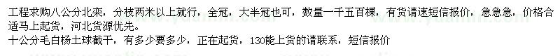 求購北欒、毛白楊
