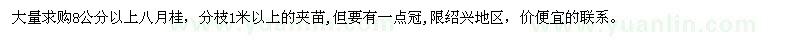 求購8公分以上八月桂