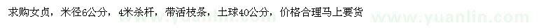 求購米徑6公分4米殺桿女貞