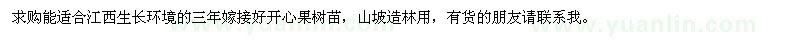 求購(gòu)開心果樹苗