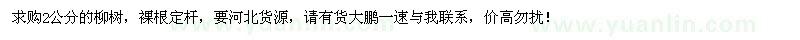 求購2公分柳樹
