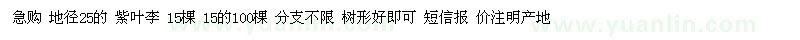 求購地徑25公分紫葉李