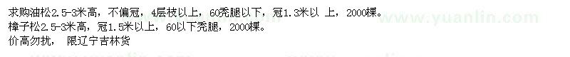 求購油松、樟子松