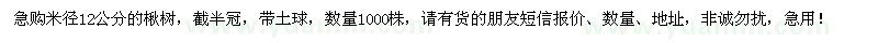 求購米徑12公分楸樹