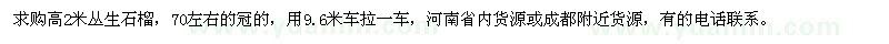 求購(gòu)高2米叢生石榴