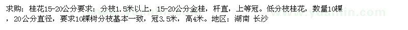求購15-20公分桂花