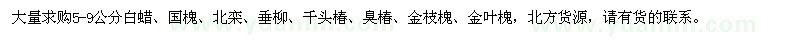 求購白蠟、國槐、北欒、垂柳等