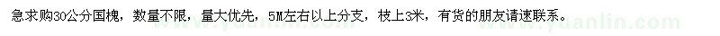 求購30公分國槐