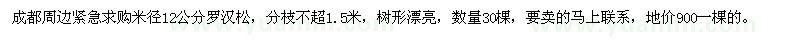 求購米徑12公分羅漢松