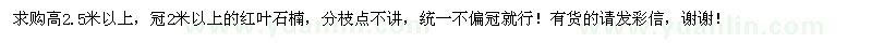 求購高2.5米以上紅葉石楠