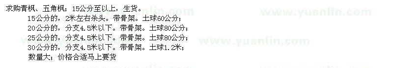 求購15、20、25、30公分青楓、五角楓