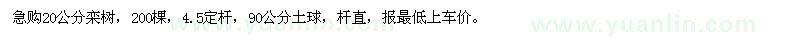 求購20公分欒樹