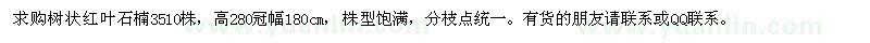 求購(gòu)樹(shù)狀紅葉石楠