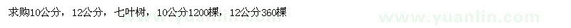 求購(gòu)10、12公分七葉樹
