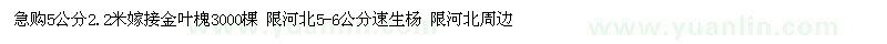 求購5公分2.2米嫁接金葉槐