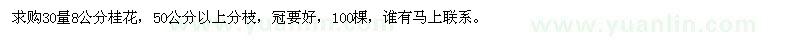 求購30量8公分桂花