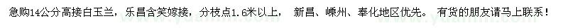 求購(gòu)14公分高接白玉蘭、嫁接樂(lè)昌含笑
