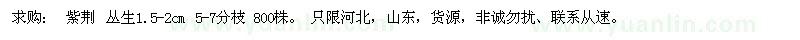 求購叢生1.5-2公分紫荊
