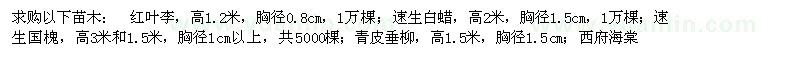 求購紅葉李、速生白蠟、速生國槐