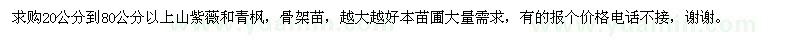 求購(gòu)20-80公分以上山紫薇、青楓