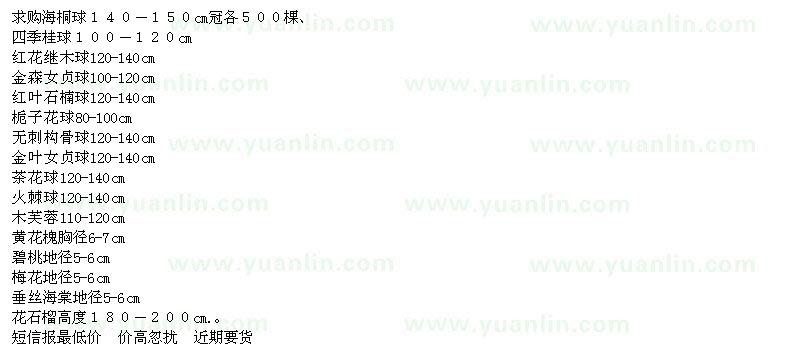 求購海桐球、紅花繼木球、碧桃等苗木