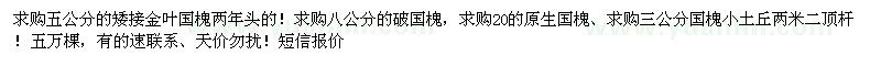 求購金葉國槐、國槐