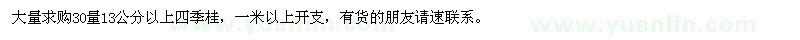 求購30量13公分以上四季桂