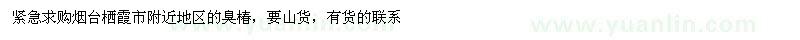 求購臭椿