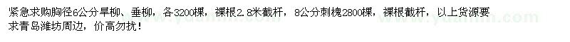求購胸徑6公分旱柳、垂柳、8公分刺槐