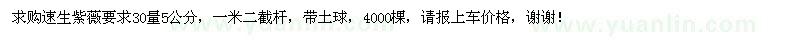 求購30量5公分速生紫薇
