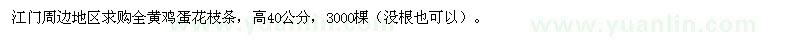 求購(gòu)高40公分全黃雞蛋花枝條