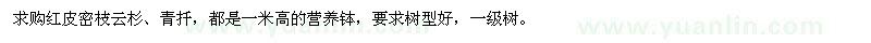 求購(gòu)紅皮密枝云杉、青扦