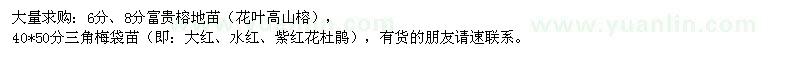 求購(gòu)富貴榕、三角梅