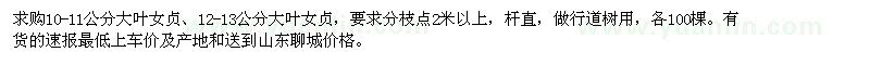 求購10-11、12-13公分大葉女貞