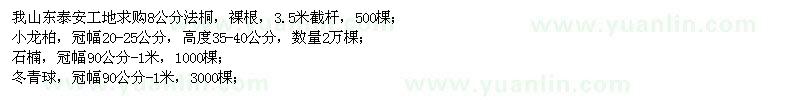 求購法桐、小龍柏、石楠