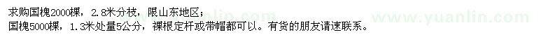 求購國槐