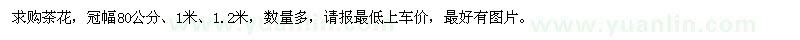 求購冠幅80公分茶花