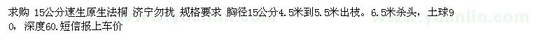 求購15公分速生原生法桐