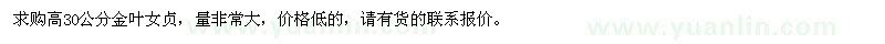 求購高30公分金葉女貞